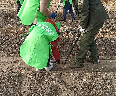 Greening of the Planet, жовтень 2021