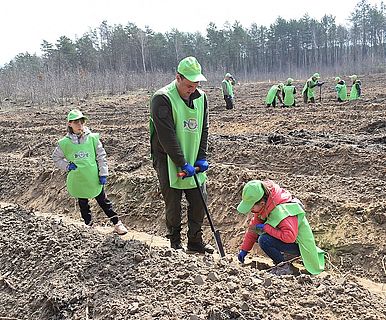 Створюємо ліси разом, квітень 2021