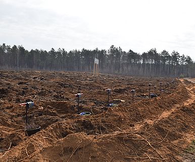 Створюємо ліси разом, квітень 2021