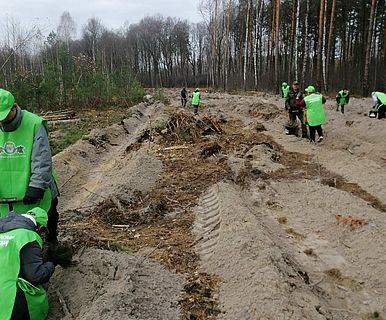 Greening of the Planet, жовтень 2021